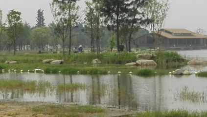 勝地公園 吳江最大的生態園，自然與人文的完美融合
