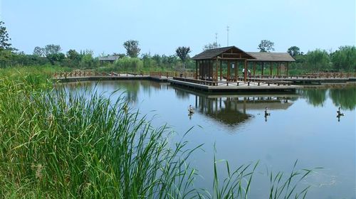 國慶樂游 上海出發，千燈古鎮與大唐生態園一日探幽之旅