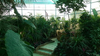 郎岱生態園 一個集美食、納涼與休閑于一體的好去處